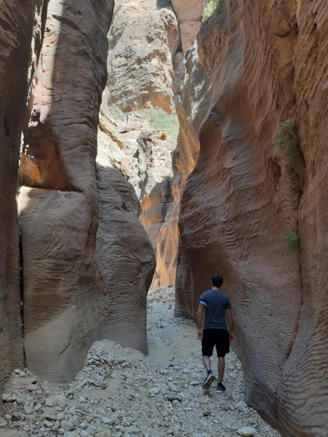 ホテル The Rock Camp Petra ワディ・ムーサ エクステリア 写真
