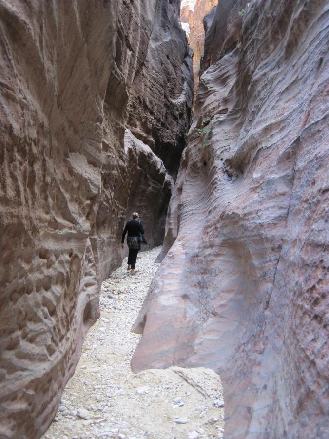 ホテル The Rock Camp Petra ワディ・ムーサ エクステリア 写真